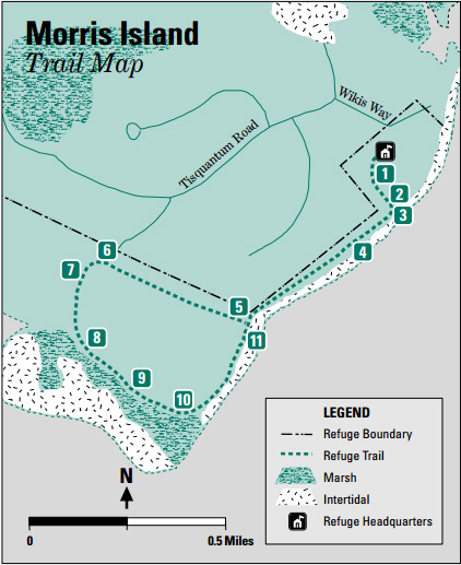 map of morris island trail in chatham ma