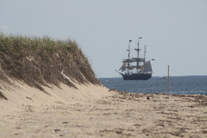 a tall ship passes by race point beach in provincetown on cape cod