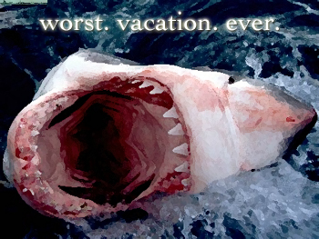 great white shark attack on cape cod