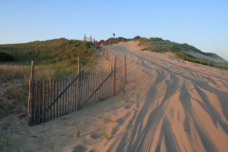 Oversand driving trail on race point beach, cape cod national seashore