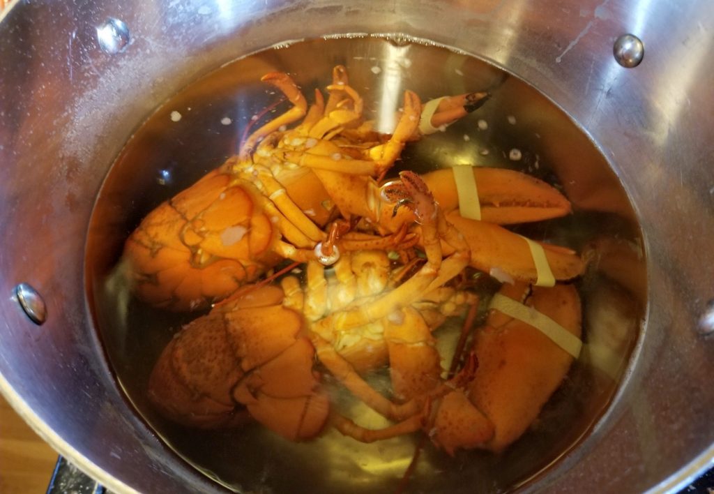 dogfriendly restaurants in truro capebeachdog