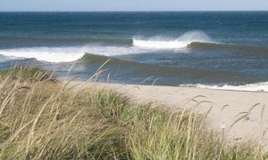 The nicest beach on Cape Cod may be Head of the Meadow Beach in North Truro, part of the Cape Cod National Seashore.