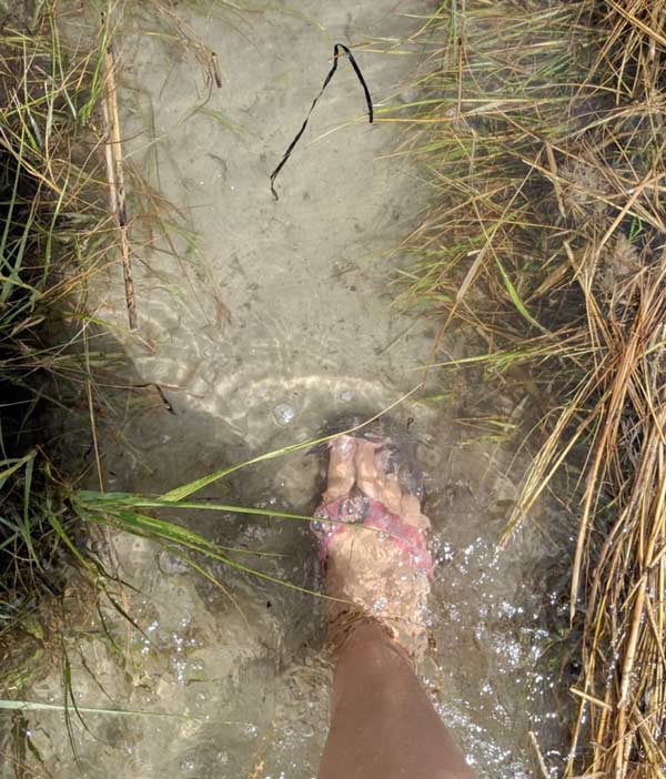 Walking in a tidal pool barefoot means you should watch out for crabs!