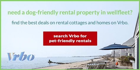 Find dog-friendly rental properties in Wellfleet, MA. Search on Vrbo for the best deals on Wellfleet summer rentals that allow pets.