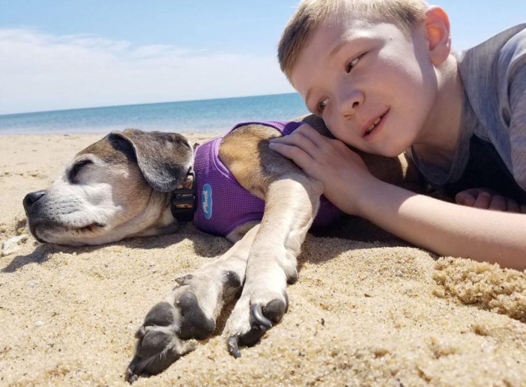 A boy resting on his sleeping puggle in the beach sand.