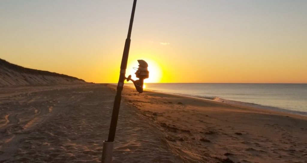 Fishing for striped bass at sunset is one of our favorite things to do on Cape Cod.