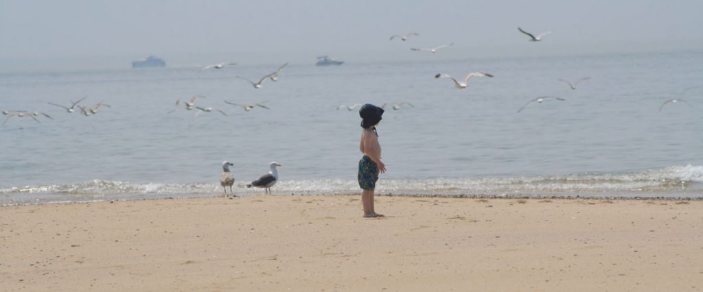 A kid stands under seagulls flying near the ocean at a beach on cape cod.