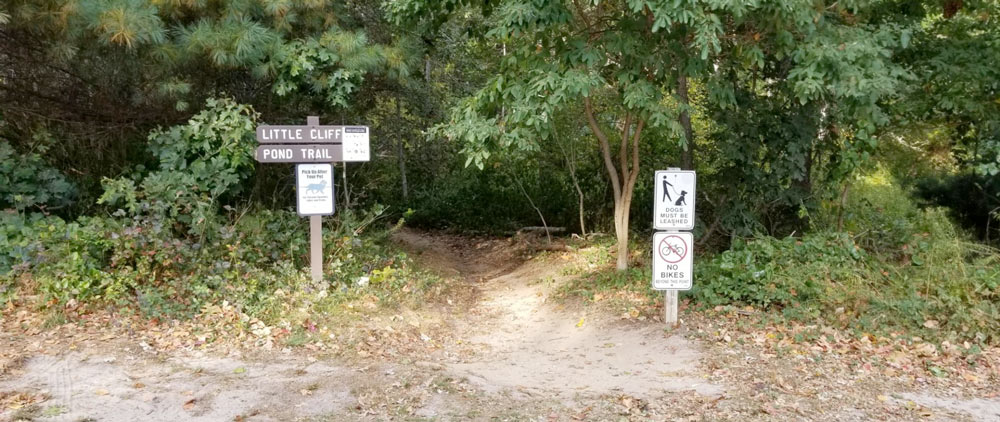 The entrance to Little Cliff Pond trail, a gentle loop that passes by Cliff, Little Cliff, and Higgins Ponds.