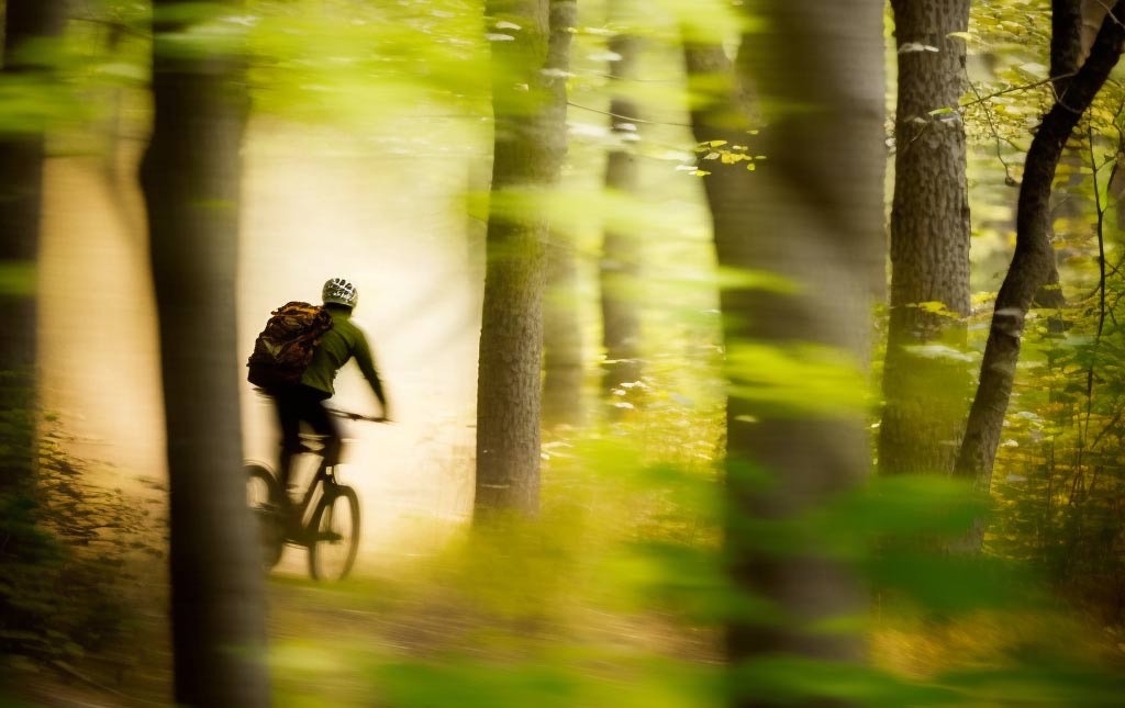 There are paved and dirt path biking trails throughout Nickerson state park that connect to the cape cod rail trail.