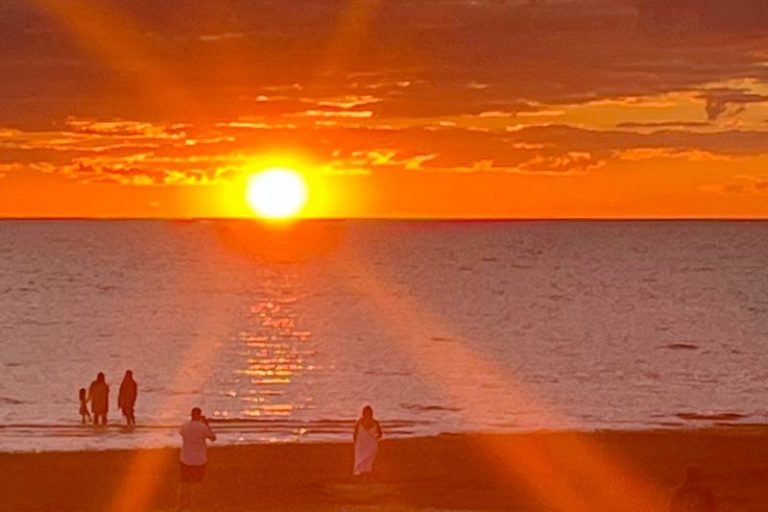 dog friendly cape cod beaches, hotels, restaurants & activities