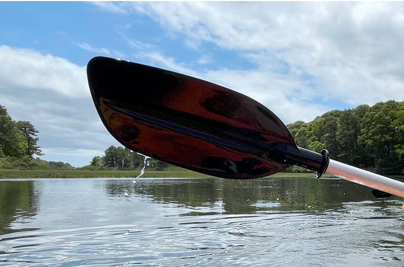 Kayak paddle dripping.