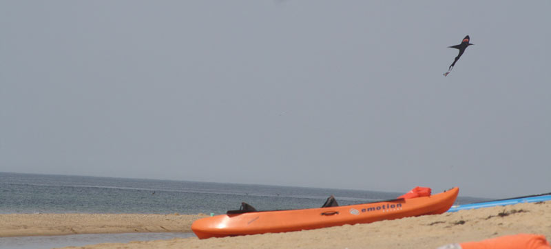 A kayak on the shore of race point beach.
