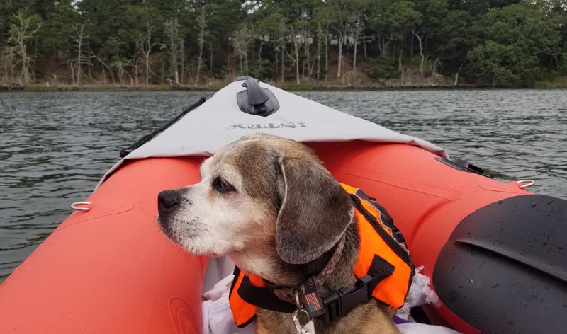 Nugget floating down Muddy Creek in an inflatable kayak.