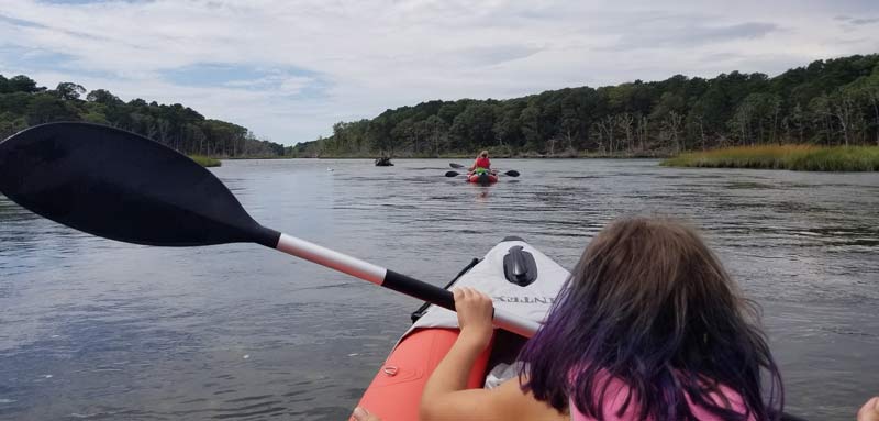 Muddy river is a perfect place to kayak with pets or small children.