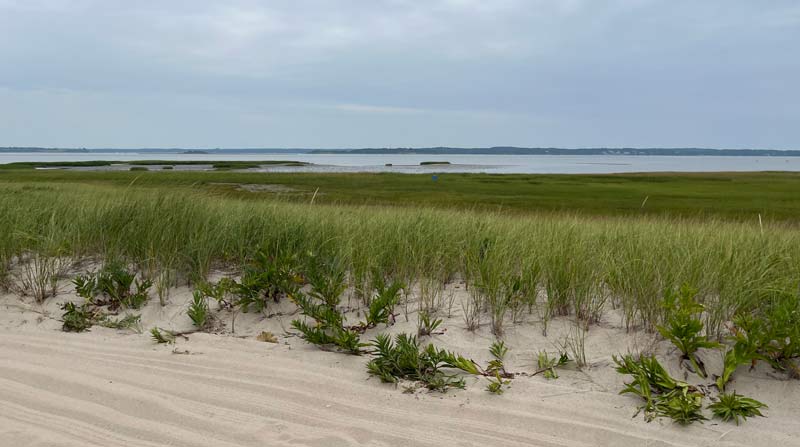 Pleasant Bay as seen from the ORV trail on Nauset Beach. You can beach your kayak and walk over to the main beach for a perfect kayaking day trip on Cape Cod.