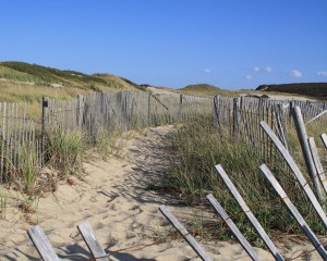beach-fence-north-truro