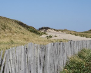 fence-dunes-head-meadow